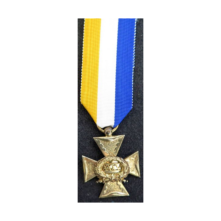 PAYS BAS : médaille des services d'officier 35 ans d'ancienneté en vermeil par J.M.J. van Wielik de La Haye