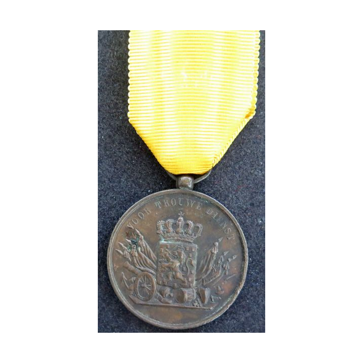 PAYS BAS : médaille bronze (Willem) par J.M.J. van Wielik de La Haye