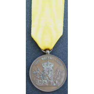 PAYS BAS : médaille bronze Gros module pour services fidèles (Willem) par J.M.J. van Wielik de La Haye