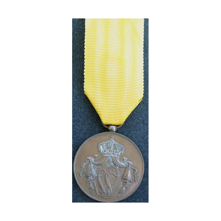 PAYS BAS : médaille bronze Gros module pour services fidèles (Willem) par J.M.J. van Wielik de La Haye