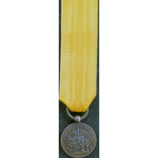 PAYS BAS : médaille bronze pour services fidèles (Juliana) par J.M.J. van Wielik de La Haye