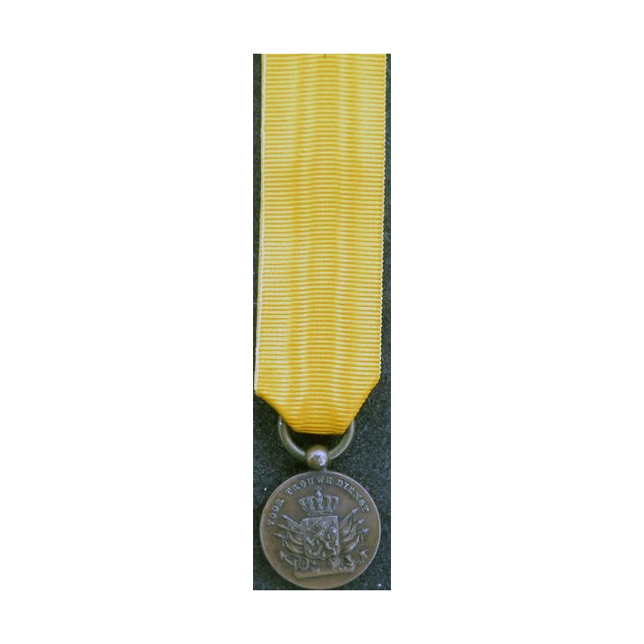 PAYS BAS : médaille bronze pour services fidèles (Juliana) par J.M.J. van Wielik de La Haye