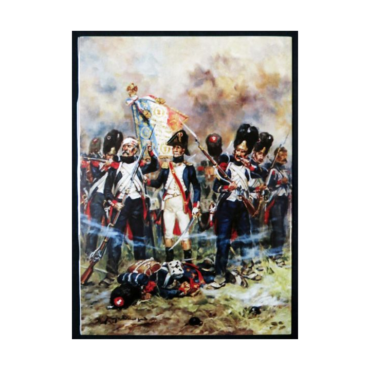 Revue : Musée de l'Infanterie 2° semestre 2010 N° 59 de l'A.A.M.I. EAI