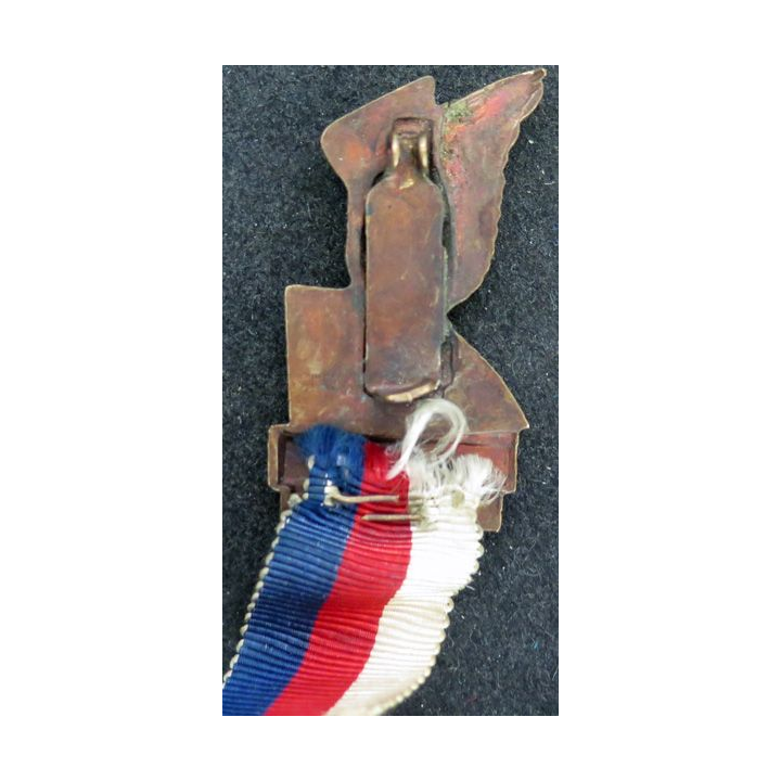 Médaille de la XI° réunion des écoles tchécoslovaques à Prague 1948