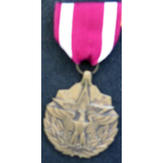 USA : Médaille de la Meritorious service medal dans son coffret officiel avec barrettes