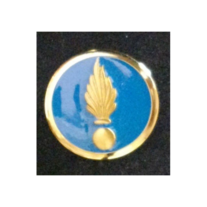 CADRE SPÉCIAL : insigne de col du cadre spécial