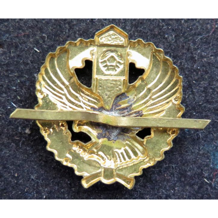 BIELORUSSIE : insigne en réduction parachutiste biélorusse 2 cm de large