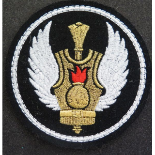 RUSSIE : insigne tissu des forces blindées (parachutristes ?)