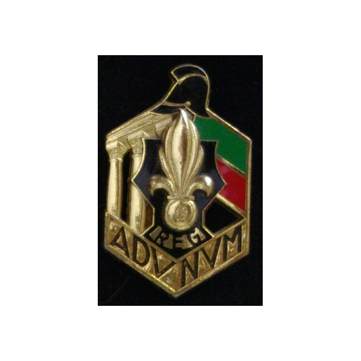 6° REG : 6° RÉGIMENT ÉTRANGER DU GÉNIE (DRAGO 3173)