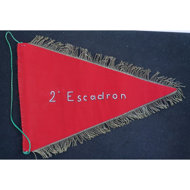 11° RCH : fanion du 2° escadron du 11° régiment de Chasseurs 30 x 21 cml en fils argentés
