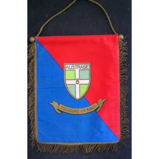 8° RI : fanion du 8° régiment d'infantrerie 27 x 20 cm