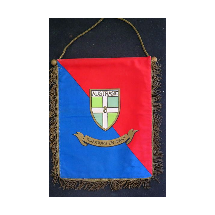 8° RI : fanion du 8° régiment d'infantrerie 27 x 20 cm