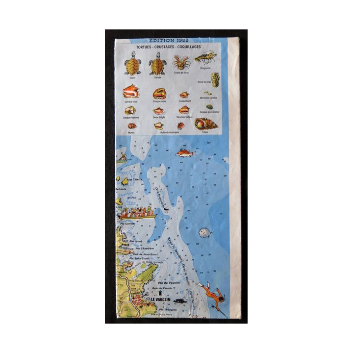 Carte guide de La Martinique avec illustrations