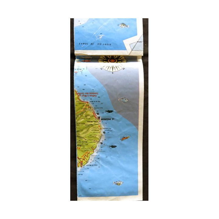 Carte guide de La Martinique avec illustrations