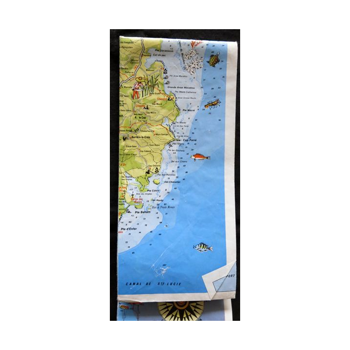 Carte guide de La Martinique avec illustrations