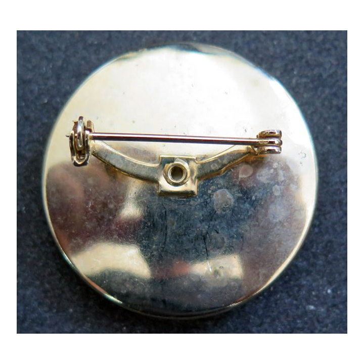 USA : broche "Vote" 