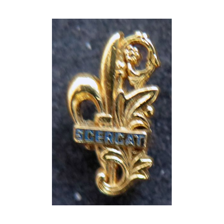 SCERCAT : Pin's du Service central d'études et de réalisations du commissariat de l'armée de terre