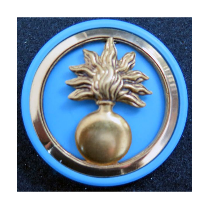 Insigne de béret des écoles sur son support plastique bleu clair Arthus