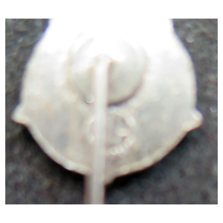Pin's de l'UNC AFN