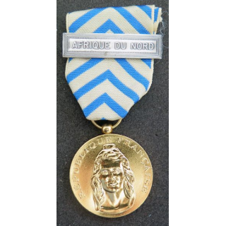 FRANCE : médaille de reconnaissance de la Nation avec barrette Arique du Nord en métal doré