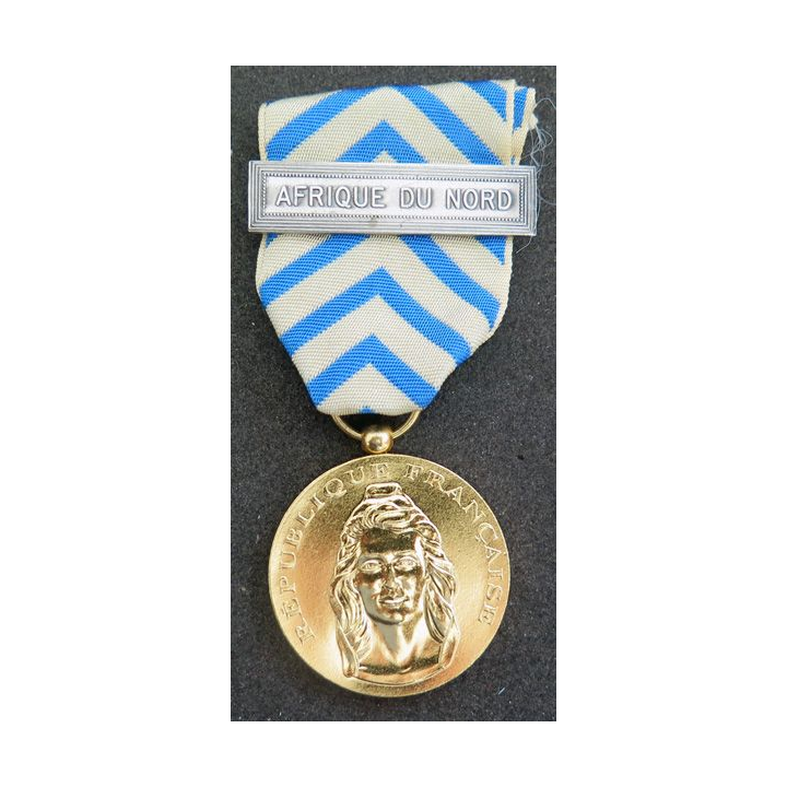 FRANCE : médaille de reconnaissance de la Nation avec barrette Arique du Nord en métal doré