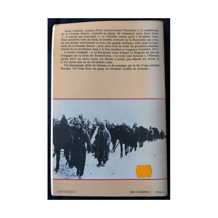 Route sans horizon par le Général Chambe aux Editions Plon