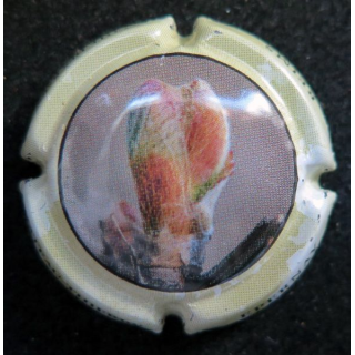 Capsule Muselet de champagne CO.GE.VI n° 14 contour vert Jaune pâle