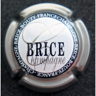 Capsule Muselet de bouteille de champagne BRICE n° 15 contour gris