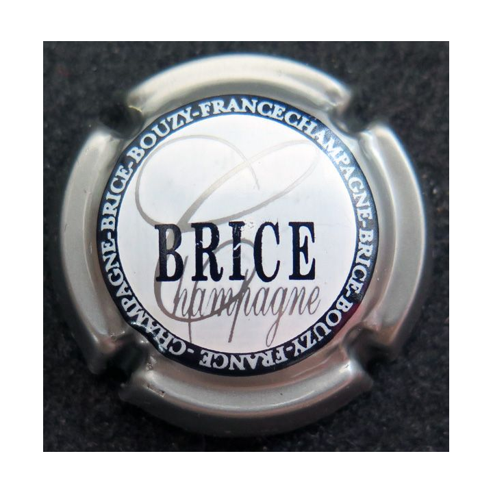 Capsule Muselet de bouteille de champagne BRICE n° 15 contour gris