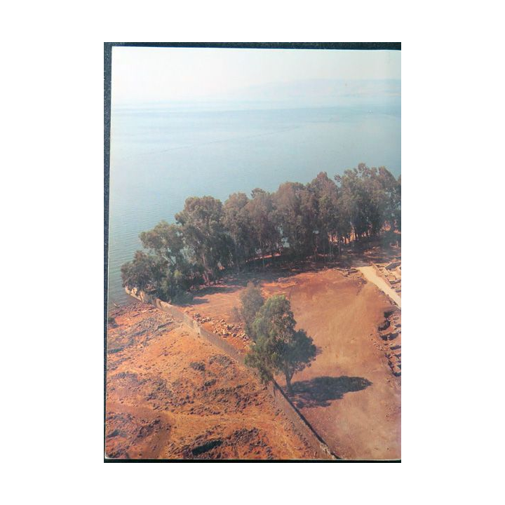 Recovering Capharnaum de Stanislo Loffreda