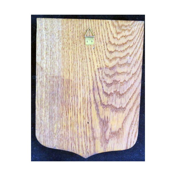 711° CME : médaille sur plaque en bois avec insigne de la  711° compagnie mixte des essences 
