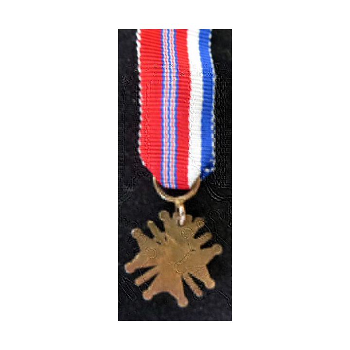 FRANCE : Médaille miniature officier 1° Classe de l'association Franco Britannique 1940 1944