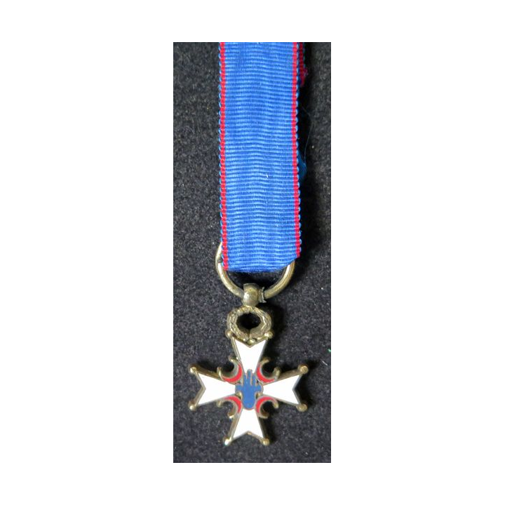 FRANCE : Médaille miniature des anciens combattants du Djebel