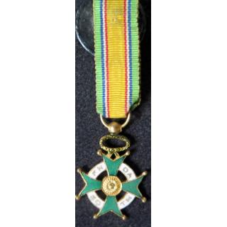 FRANCE : Médaille miniature FNSODATM 
