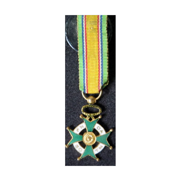 FRANCE : Médaille miniature FNSODATM 