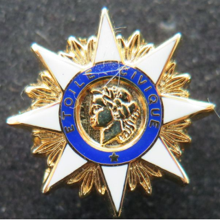 Pin's de l'Etoile civique