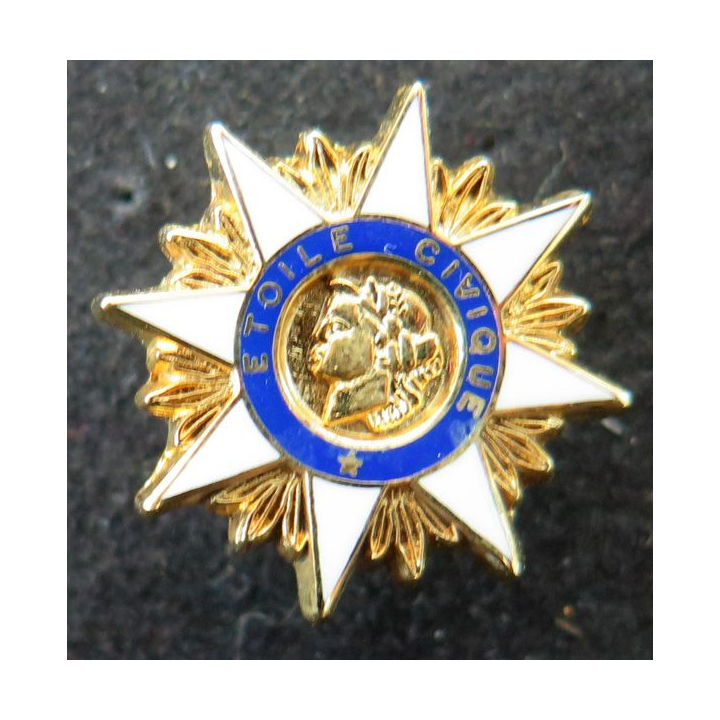 Pin's de l'Etoile civique