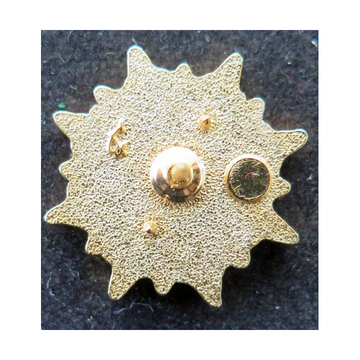 Pin's de l'Etoile civique