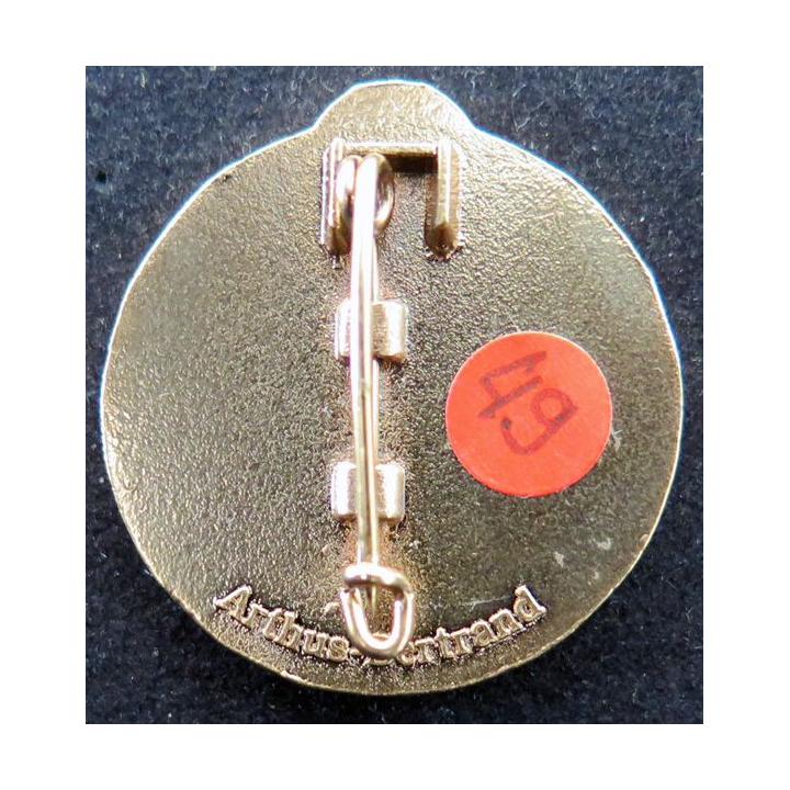 PMI : 49° pèlerinage militaire international de Lourdes en 2007 Arthus Bertrand