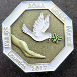 PMI : 59° pèlerinage militaire international de Lourdes en 2017 Pichard Balme