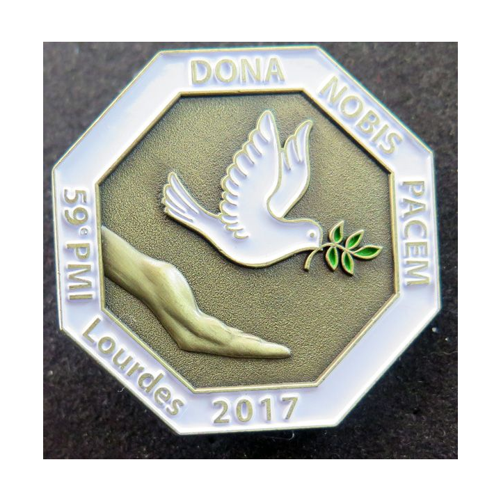 PMI : 59° pèlerinage militaire international de Lourdes en 2017 Pichard Balme