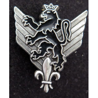 6° RHC : insigne métallique du 6° régiment d'hélicoptères de combat de fabrication Delsart G. 1904