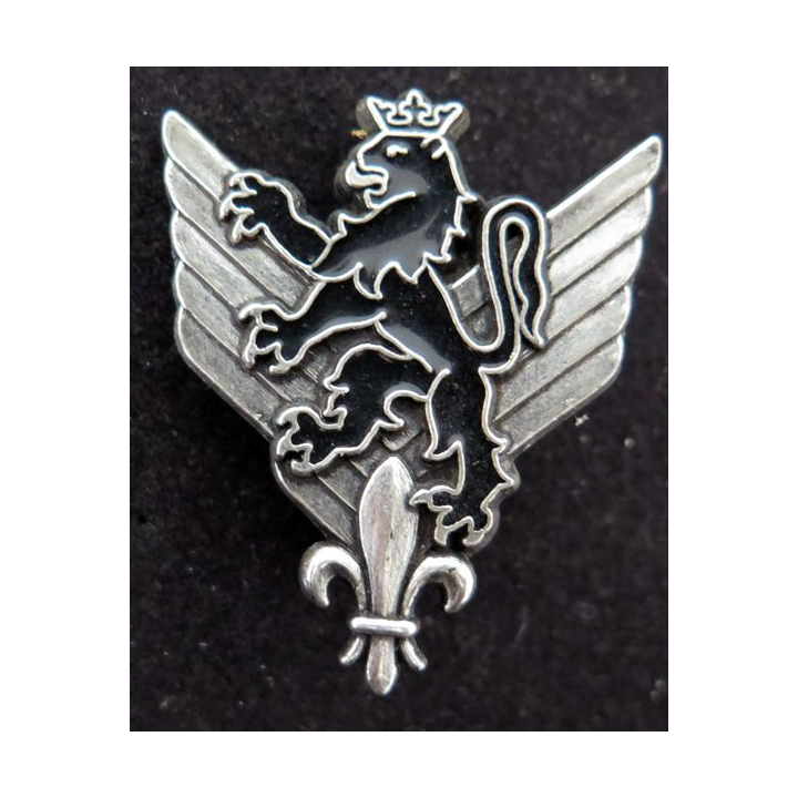6° RHC : insigne métallique du 6° régiment d'hélicoptères de combat de fabrication Delsart G. 1904
