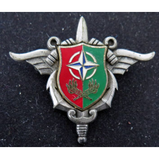 SEA OTAN : GHroupe d'exploitation 2° Division des Oléoducs de l'OTAN Delsart H. 789