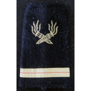 fourreau d'adjudant chef du service des essences