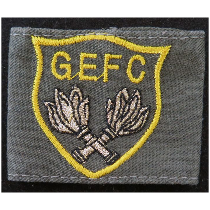 SEA GEFC : passant d'épaule du GEFC du Service des essences des armées