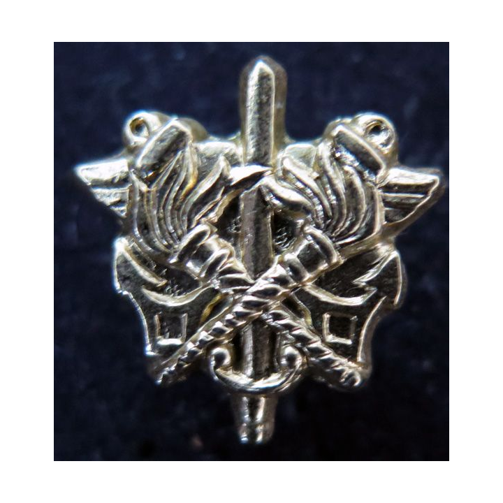 SEA : Pin's du service des essences des armées