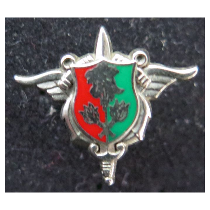 SEA : Pin's du service des essences des armées