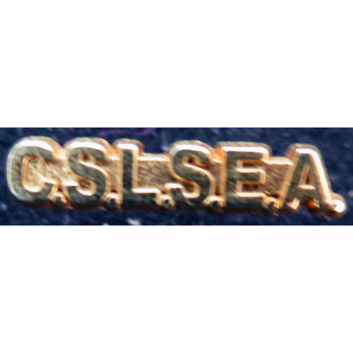 SEA : Pin's du CSL service des essences des armées 
