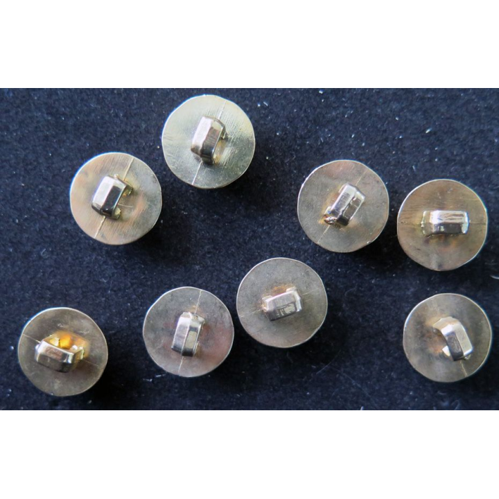 LOT de 8 boutons bombés et dorés de chemisier de 1,5 cm de diamètre